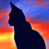 Cat Silhouette paint by numbers