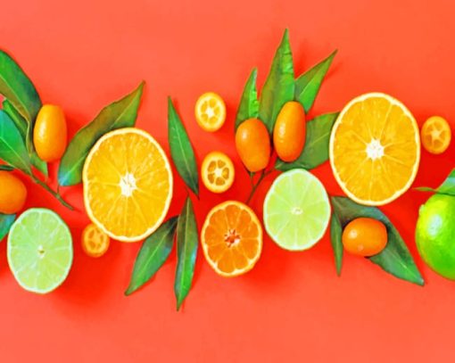 Citrus Fruits paint by numbers