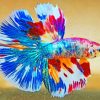Colorful Betta Fish paint by numbers