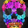 Colorful Floral Skull paint by numbers
