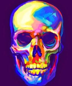 Colorful Skull paint by numbers