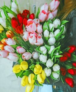 Colorful Tulips Bouquet paint by numbers