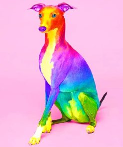 Colorful Greyhound paint by numbers