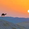 Desert Camel Silhouette paint by numbers