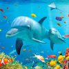 Dolphins And Tropical Fishes Under Sea paint by numbers
