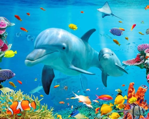 Dolphins And Tropical Fishes Under Sea paint by numbers