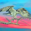 Falcon Bird paint by numbers