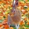 Fall Bunny paint by numbers