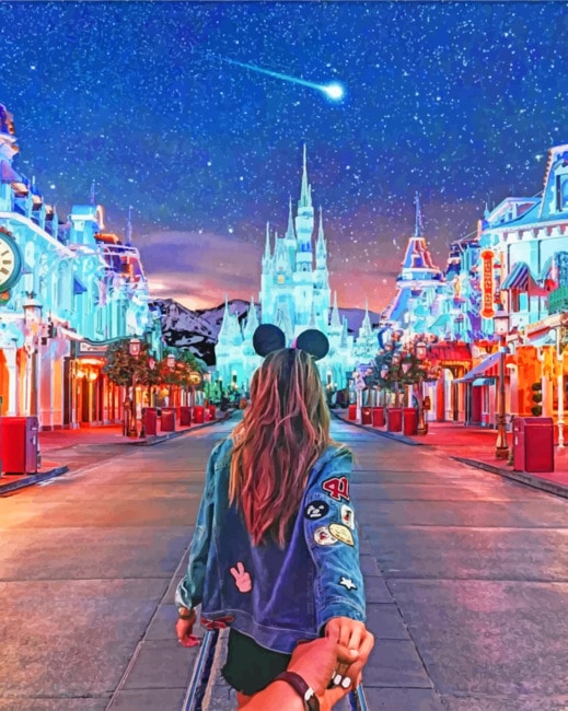 Follow Me To Disneyland paint by numbers
