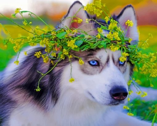 Husky With Flowers Crown paint by numbers