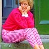Lady Diana Pink Dress paint by number