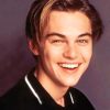 Leonardo DiCaprio Smile paint by numbers