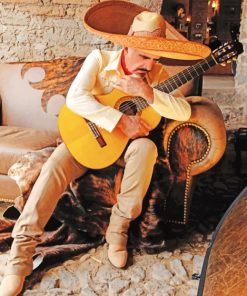 Mexican Guitarist paint by numbers
