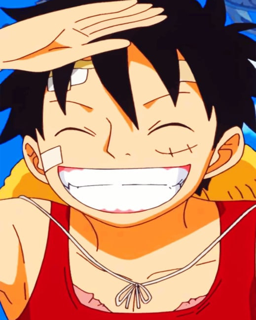 Luffy paint By numbers