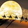 Moon Camel Desert paint by numbers