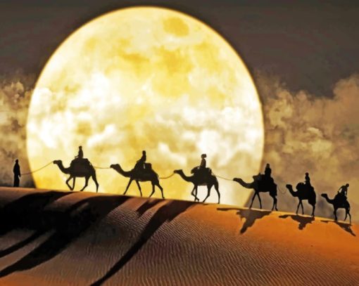 Moon Camel Desert paint by numbers