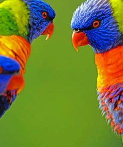 Multicolored Birds Paint by numbers