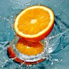 Orange Fruit On Water paint by numbers