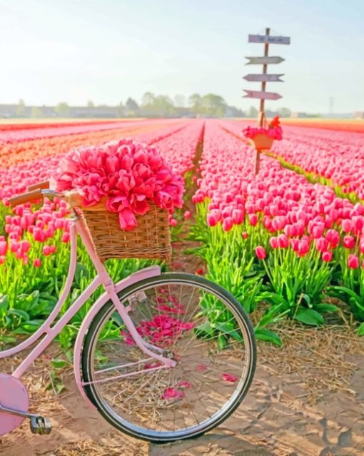Pink Tulips Bike paint by numbers