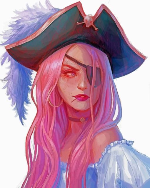 Pirate Girl Art paint by numbers