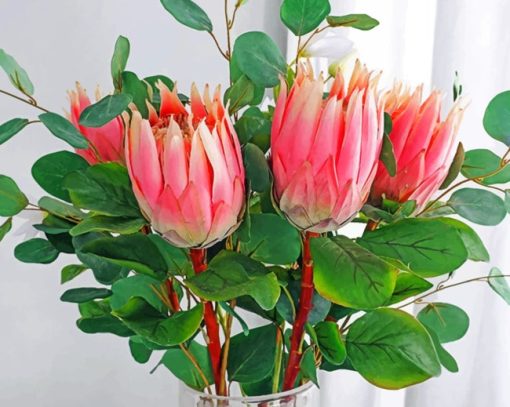 Protea Plants paint by numbers