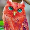 Red Owl paint by Numbers