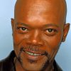 Samuel Jackson paint by numbers