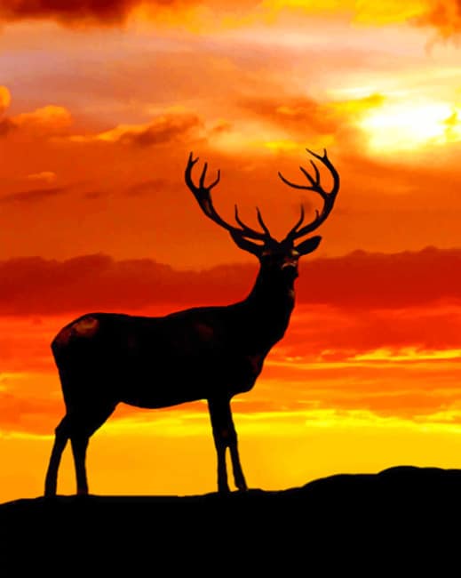 Sunset Deer Silhouette paint by numbers