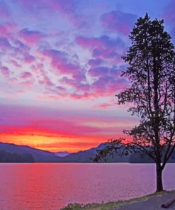 Sunset Tree Lake paint by numbers