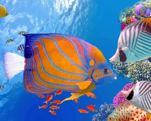 Tropical Fishes Under Water paint by numbers