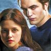 Twilight Movie paint by numbers
