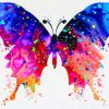 Watercolor Butterfly paint by numbers