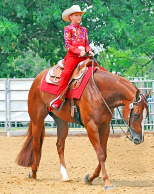 Western Girl On Horse paint by numbers
