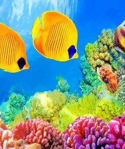Yellow Fishes Under Sea paint by numbers