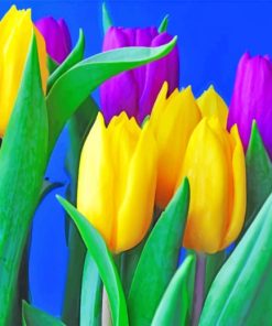 Yellow And Purple Tulips paint by numbers