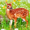 Baby Deer paint by numbers