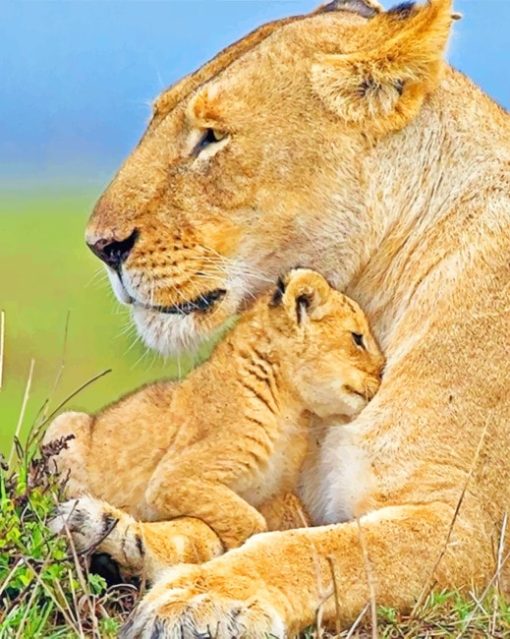 Baby Lion And Mother paint by numbers