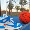 Nike Sneaker And Basket ball paint By Numbers