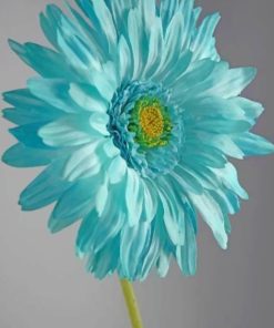 Beautiful Aqua Blue Flower paint By Numbers