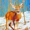 Beautiful Deer paint by numbers