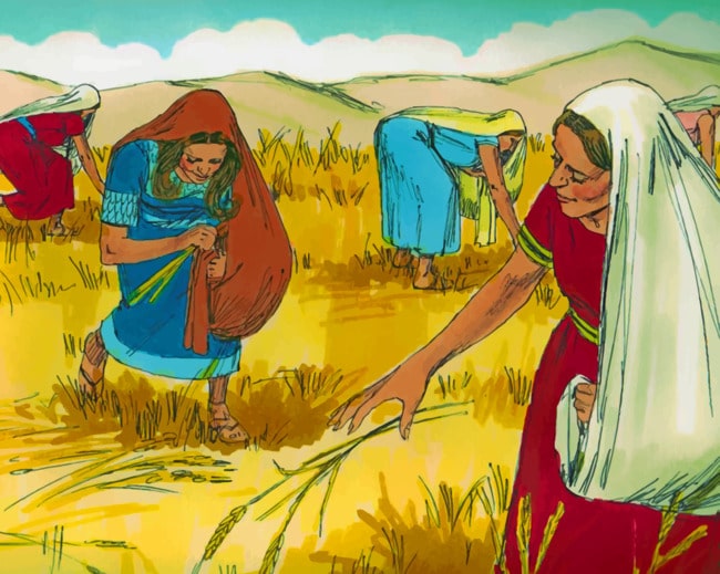 Bible Story Ruth paint by numbers