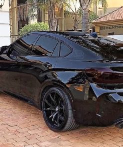 Black Bmw paint By Number