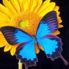 Blue Morpho Sun Flower paint by numbers
