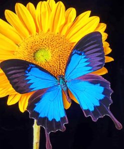 Blue Morpho Sun Flower paint by numbers