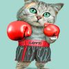 Boxing Cat paint by numbers