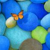 Butterfly On Rocks paint by numbers