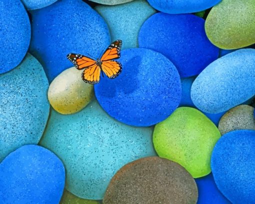 Butterfly On Rocks paint by numbers