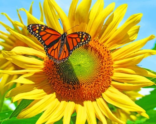 Butterfly Sunflower paint By Numbers
