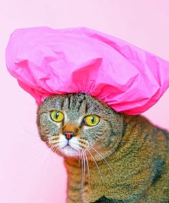 Cat Wearing A Shower Cap paint By Numbers