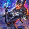 Cat Woman paint By numbers